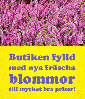 Blommor4 you ny tavla